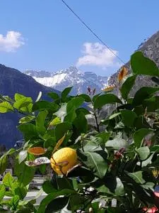 Affittacamere Mountain - Chiusaforte