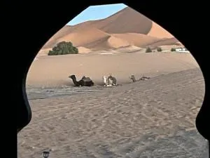 La sultana luxury camp - Hassilabied