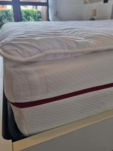 Luminoso Trilocale con Piscina e Giardino privato