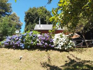 amazing view of the volcano