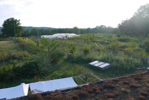 Maisons de vacances Ferme ecologique : photos des chambres