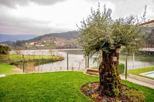 Casa das Oliveiras