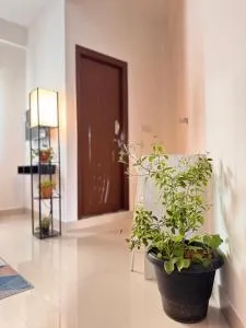 Purple wall kormangala 4th block - Kormangala