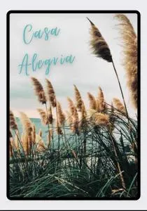 Casa Alegria - Portel-des-Corbières