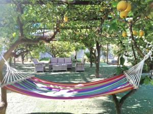 Villa le Favole Apartments