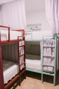 Kite & Surf Nomad House