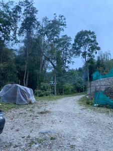 Twin garden Homestay