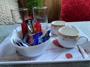 Twin garden Homestay