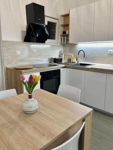 Apartman Mirna