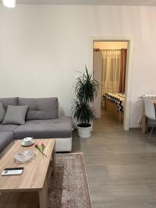Apartman Mirna