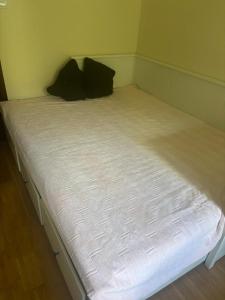 Idyll of Happy Moments