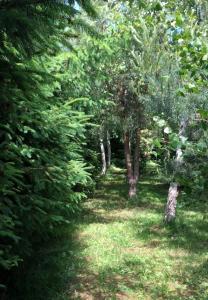 Domek Machowino w Dolinie nad Stawem