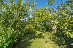 Charming Chardan Cottage, Fowey