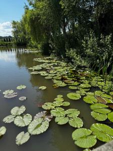 Domek Machowino w Dolinie nad Stawem