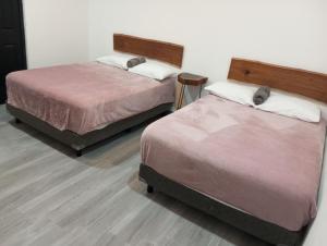 Casa BOSQUE LUCIERNAGAS