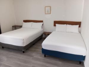 Casa BOSQUE LUCIERNAGAS