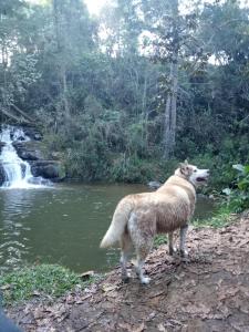 KITE KIWE LODGE - Parque Arvi