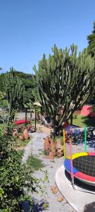 Refugio Namastê - Sheila