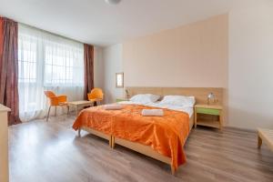 Quadruple Room room in Hotel and Park Divoká Voda