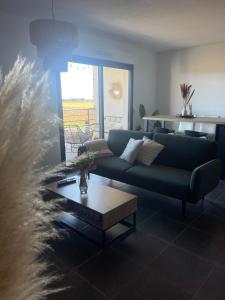 Appartement vue vigne