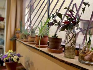 Cosy apartment in the heart of Pisac with rooftop