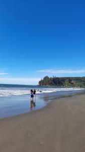 Cabaña Los Frutales Laraquete