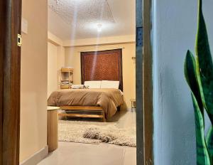 Cosy flat in the heart of Pisac with rooftop terrace