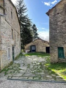 SO MAGIC - La casa nel bosco - Castagno