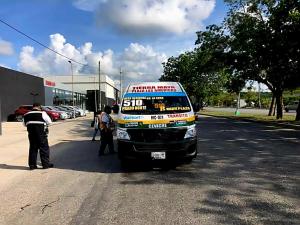 El Rincón Pet friendly