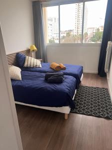 La Girelle vue mer proche plage