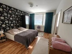 Snow Pearl Kemi City Apartment - Tornio