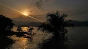 Molex Resort Jinja - Njeru