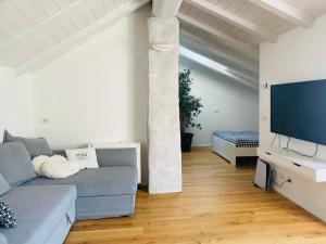 The Nest Between the Walls