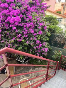 Appartements House with patio and air conditioning : photos des chambres