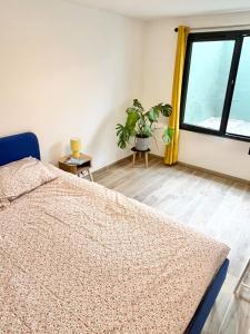 Appartements House with patio and air conditioning : photos des chambres