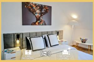 Appartements Nid douillet tout equipe, 6 min chateau d-Amboise : photos des chambres