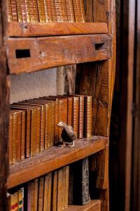 Hotels Moulin de Cambelong- Emilie & Thomas : photos des chambres