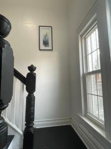 Brooklyn stay! apartment