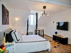 Appartements Nid douillet tout equipe, 6 min chateau d-Amboise : photos des chambres