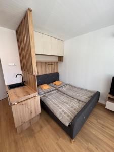 Beautiful apartment near the city center