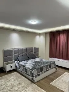 العجوزة شارع الفلوجة - 开罗