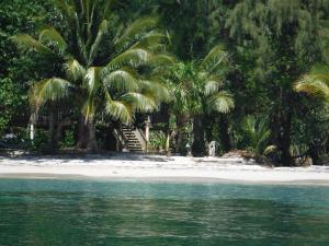 cayos Cochinos beach house