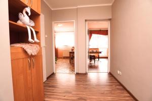 Mieszkanie na Leśnej D&D Apartments