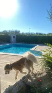 Villa Marinelli - Локоротондо