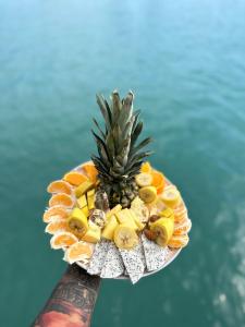 Apollon boat and yacht Tour