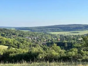 Holiday home in Kötcse - Südtransdanubien 53934 - Nagycsepely