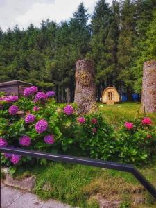 Colliford Lake Hotel & Campsite