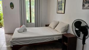 Amapola Rooms
