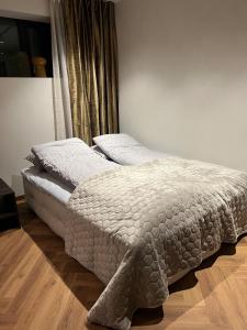 New Cozy apartment in center of Aurora spotting
