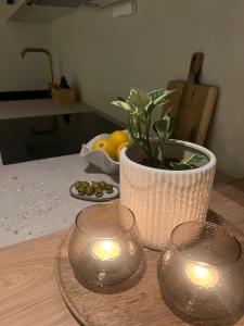 New Cozy apartment in center of Aurora spotting